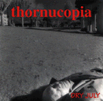 Dry July cover